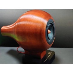 AI-Speaker głośnik DIY do bramki AIS dom DEV1/BT