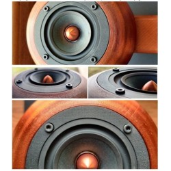 AI-Speaker głośnik DIY do bramki AIS dom DEV1/BT